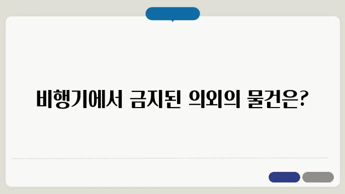 비행기내 반입 금지 품목