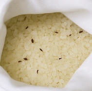 쌀벌레 없애는법