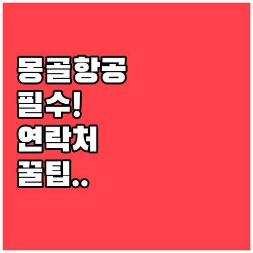 몽골항공 출발 전 꼭 알아둬야 할 연..