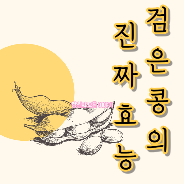 검은콩의-진짜-효능-콩-그림-알맹이