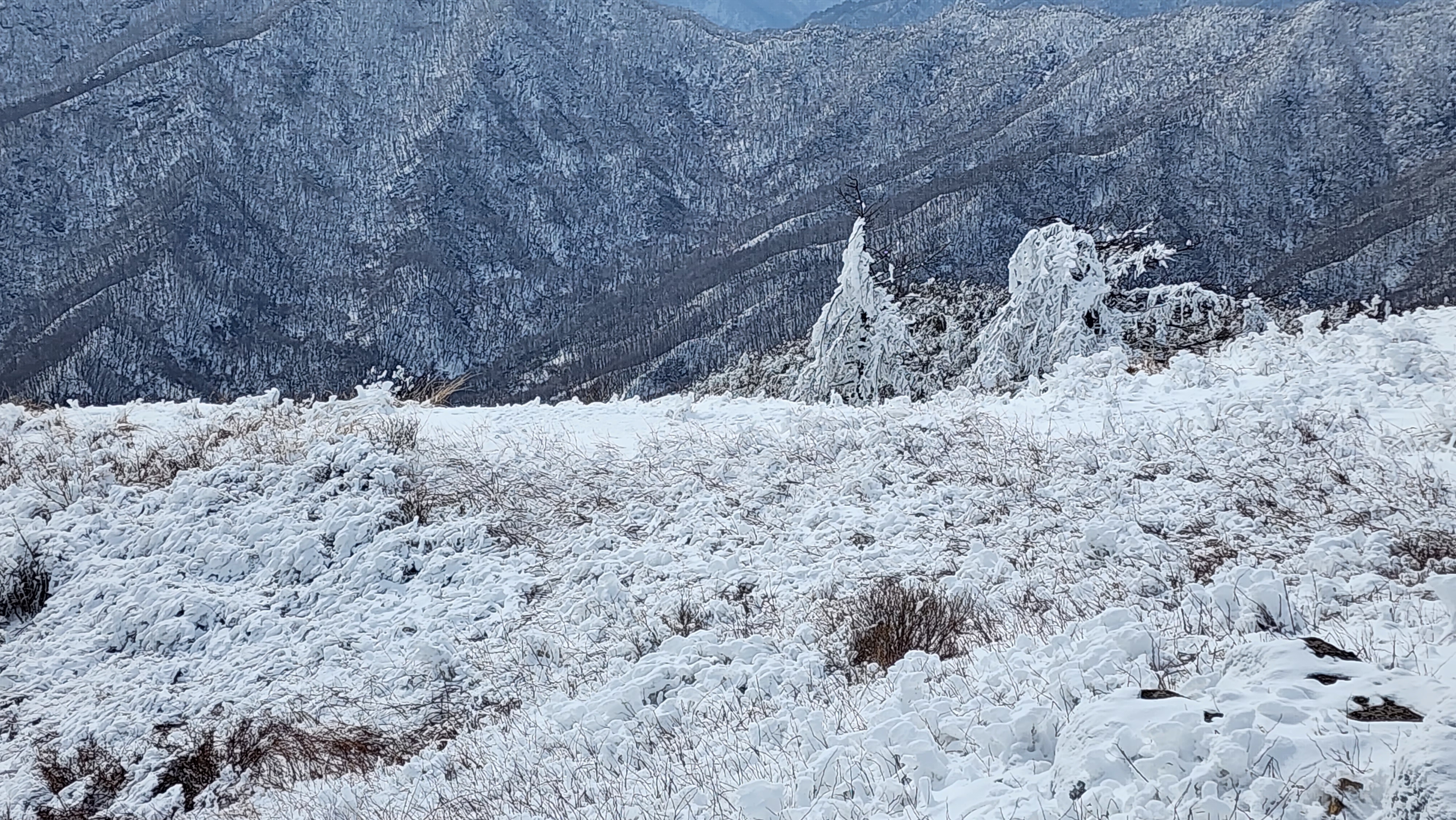 바래봉 상고대 지대