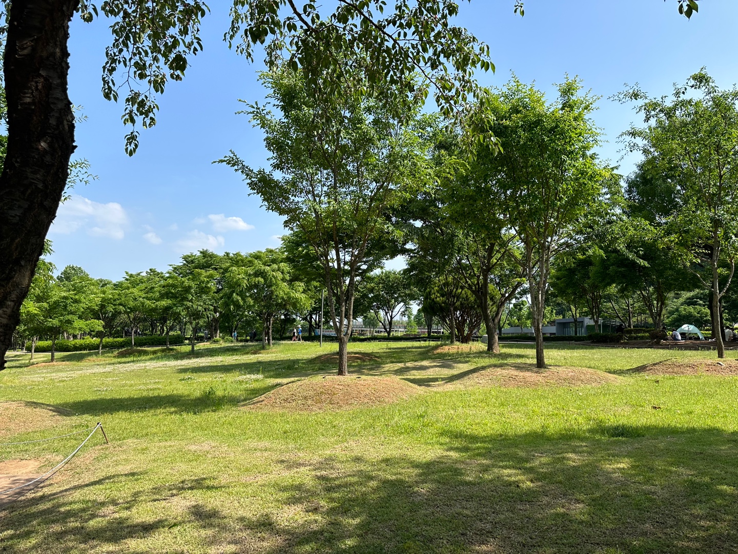 서서울호수공원 풍경1