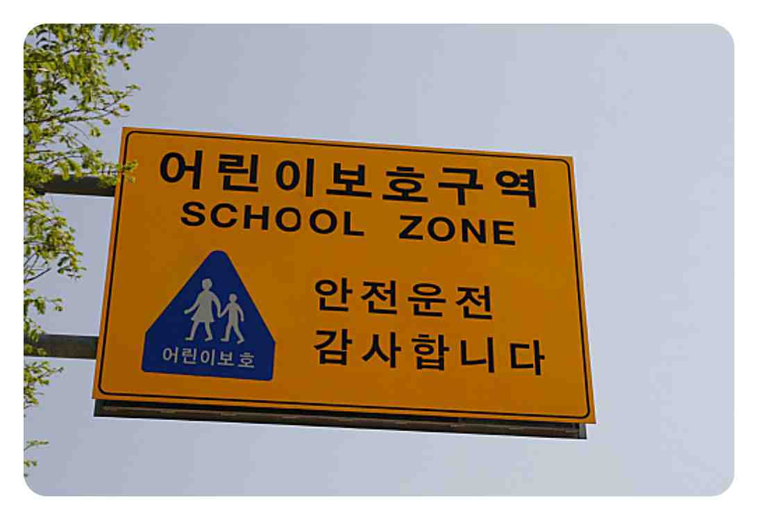 스쿨존 횡단보도 정지선 골목길 감속 운전 주의사항 이미지