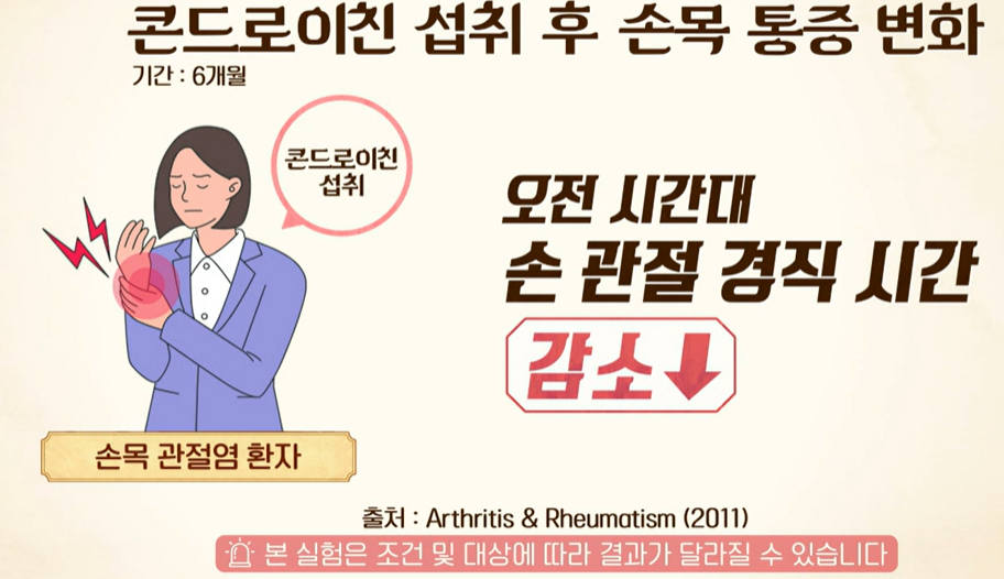 콘드로이친 효능