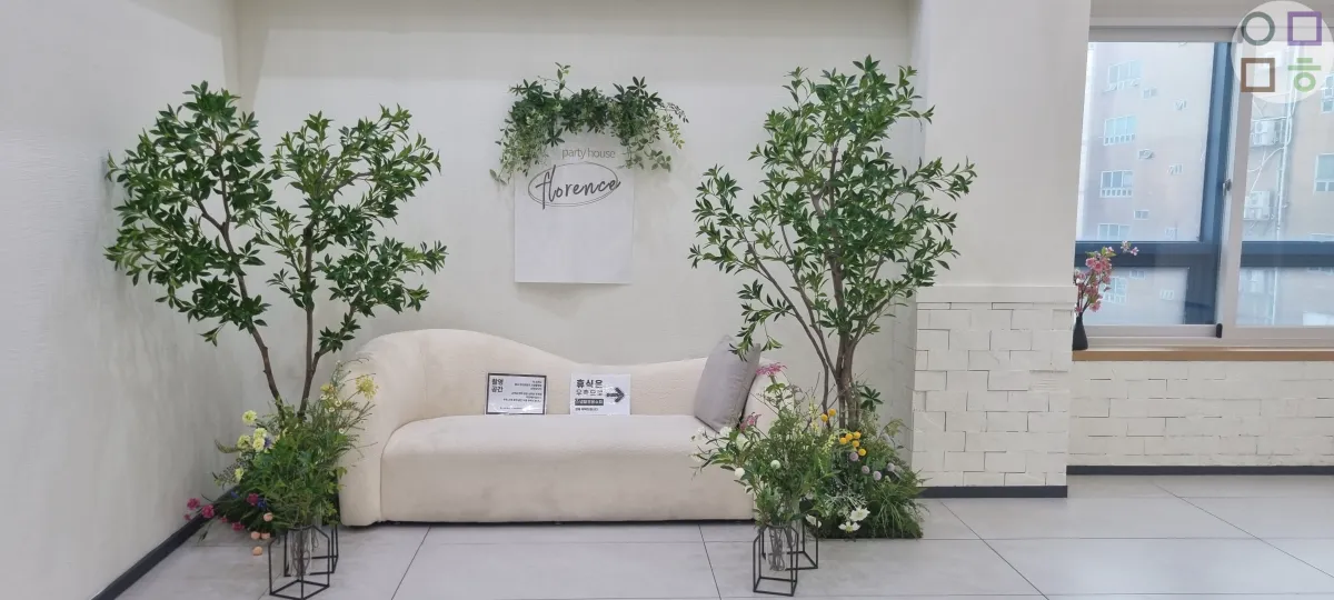 홀쪽-촬영-공간-푸릇한-컨셉