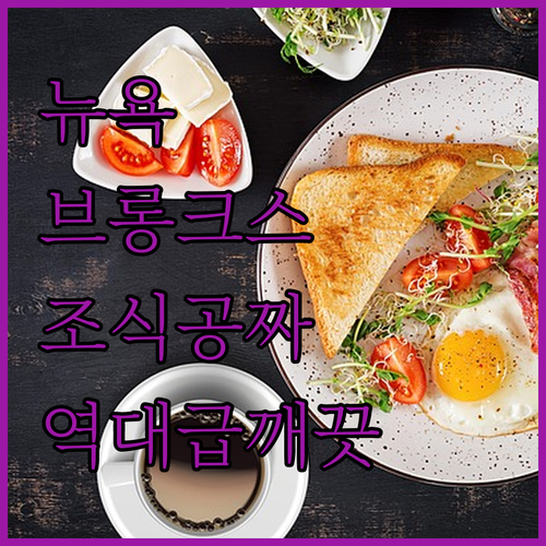 무료 조식 제공되는 뉴욕 브롱크스 깨..