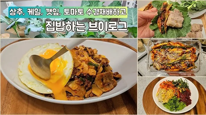 적근대 재배 씨 뿌림 솎음 수확 색 유지_4