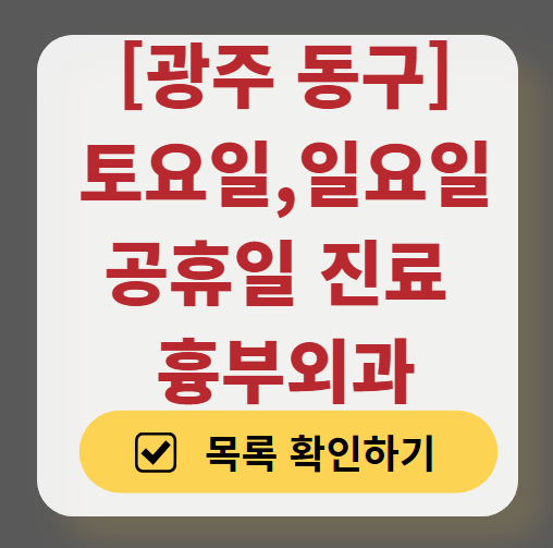 광주 동구 주말 토요일 일요일 흉부외과 진료 병원 목록 ❘ 공휴일 진료 영업 병원 리스트 찾기