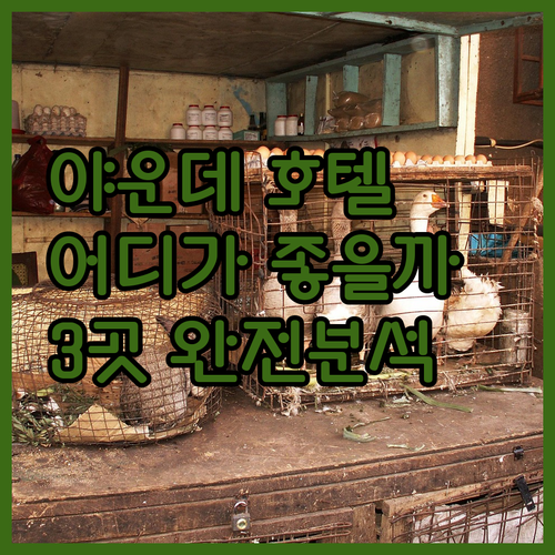 카메룬 야운데 호텔 선택, 아직도 고