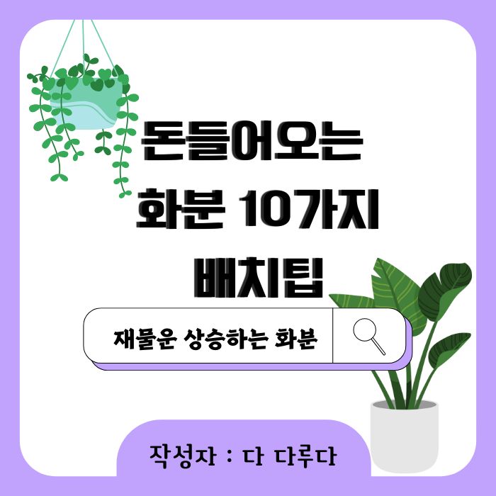 돈들어오는 화분 10가지 배치팁