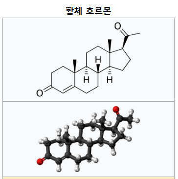 황체호르몬