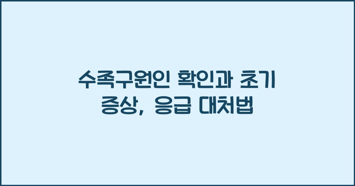 수족구원인