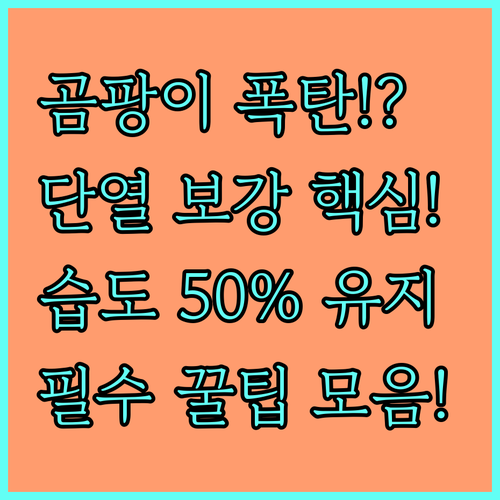 벽지 곰팡이 막는 필수 수칙 시공 전..