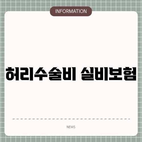 허리수술비 실비보험
