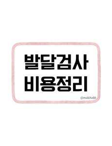 발달검사 비용정리