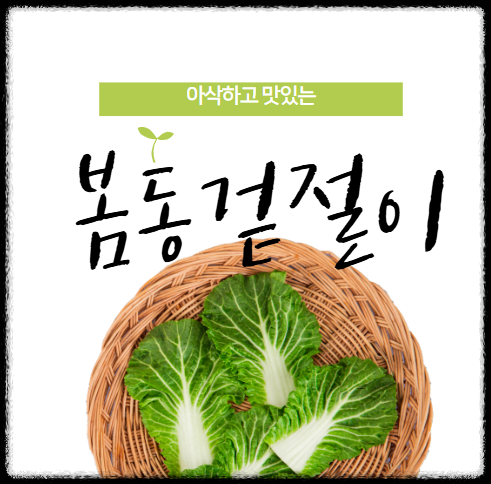 봄동겉절이