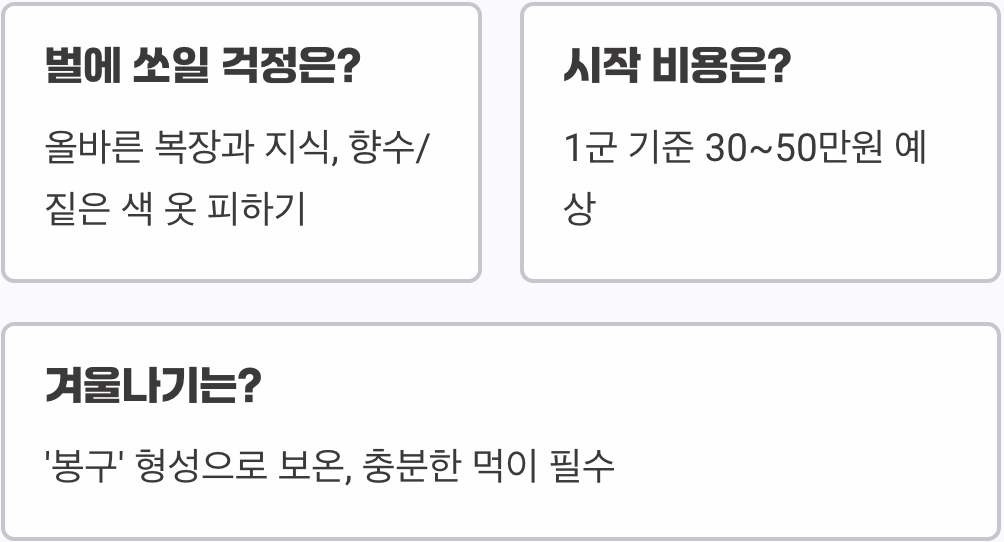 도시에서 꿀벌 키우기, 초보 도시 양봉가가 알아야 할 모든 것 A to Z