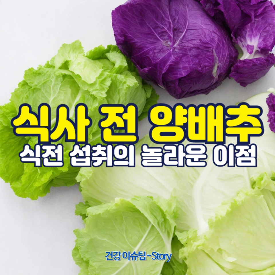 왜 양배추는 식전 최고의 슈퍼푸드인가?