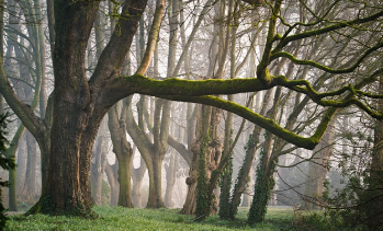 청와대 국민청원홈페이지 지금 확인 23