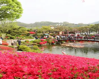 베어트리파크 철쭉축제 봄과 철쭉_5