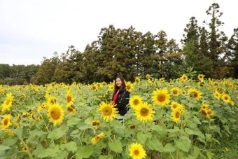 제주 항파두리 유적지 역사 공부 겸 산책코스 소개_12