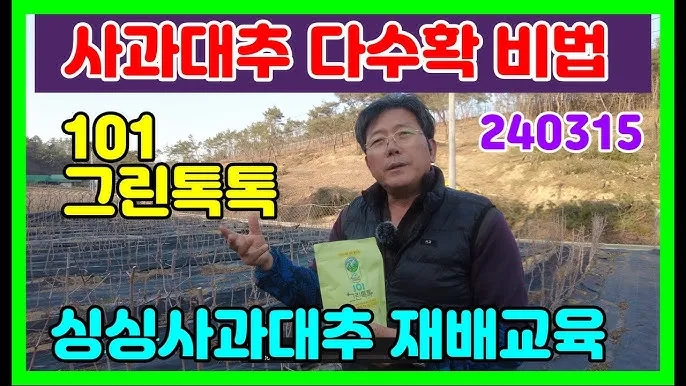대추 재배 개화기 관리 봉지 씌우기 열매 터짐 예방_9