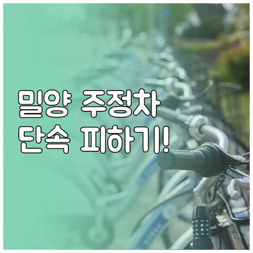 밀양시 주정차 단속 알림 문자 서비스..
