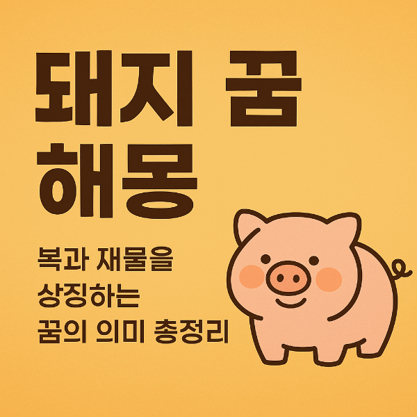돼지꿈 해몽