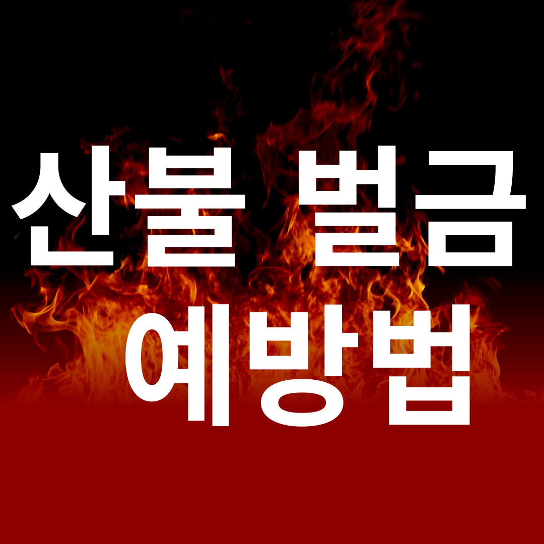 산불 벌금 과태료 예방법