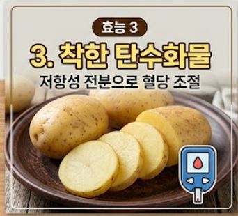 감자 효능