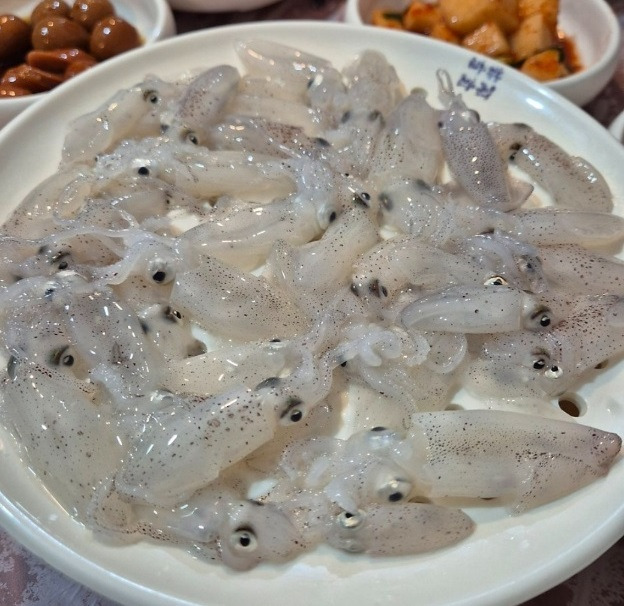 백반기행 사천 용궁포차촌 해뜨는 집