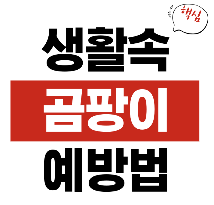 생활 속 곰팡이 예방