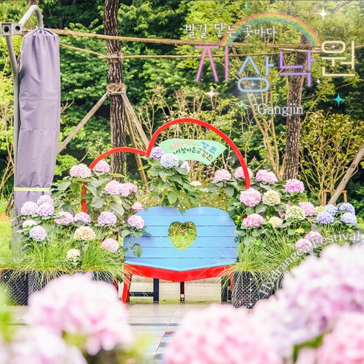 강진수국길축제