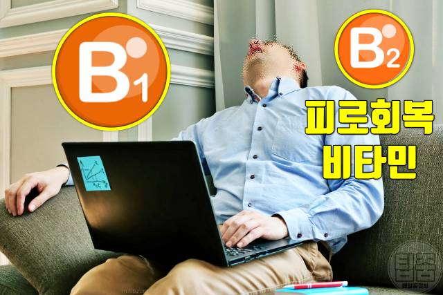 두릅 효능 피로회복 두릅 생으로 먹어도 되나요 두릅부작용