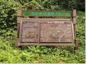 걷기좋은 명품 숲길 30선 숨겨진 코스_17