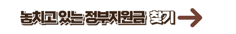 놓치고 있는 정부 지원금 찾기