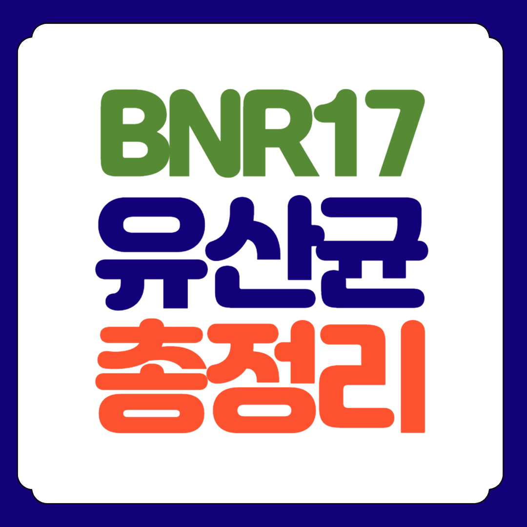 BNR 17 유산균 총정리
