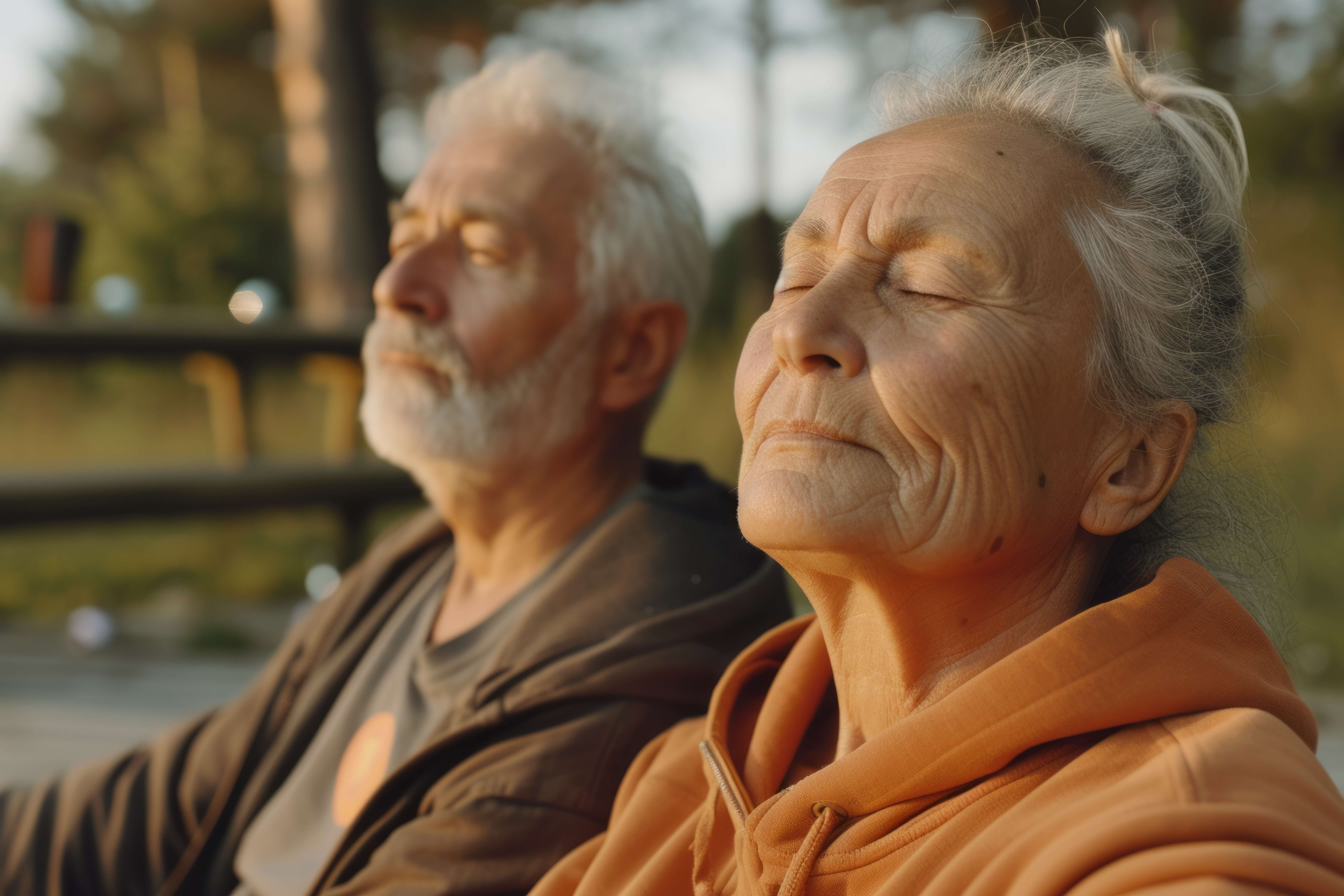 노화에 따른 내분비계 변화