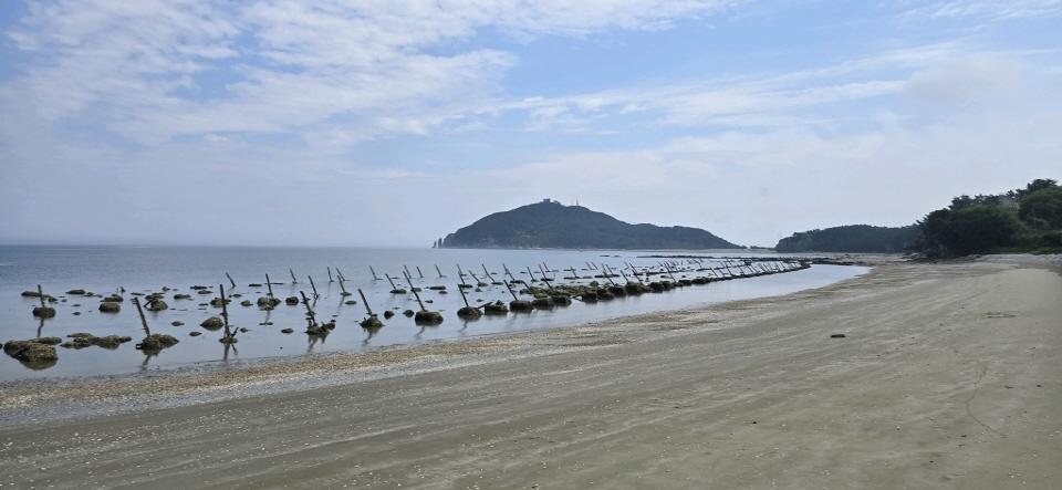 백령도의 해변과 숲길은 사진을 남기기에 최적의 장소입니다