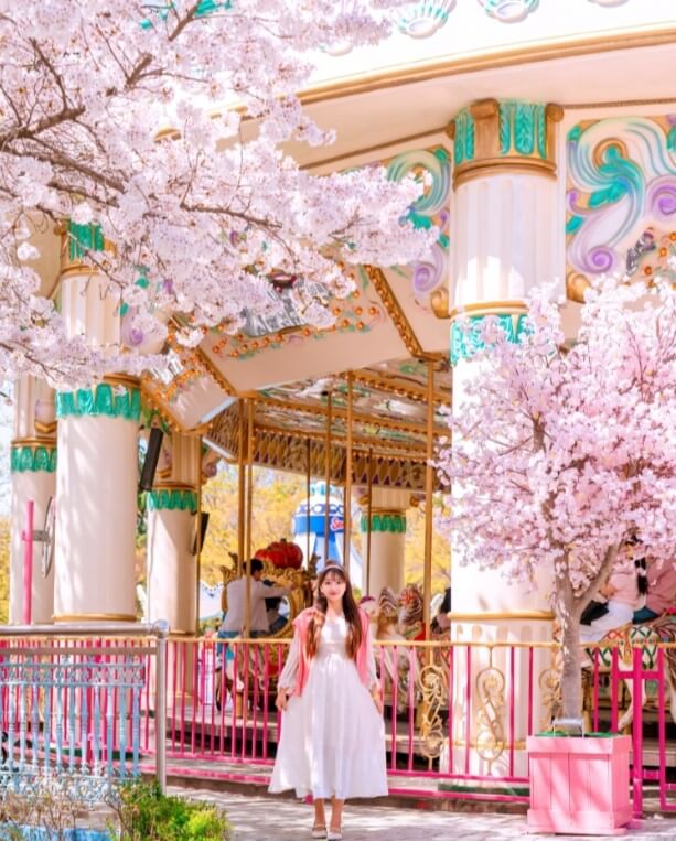 2024 전국 꽃축제