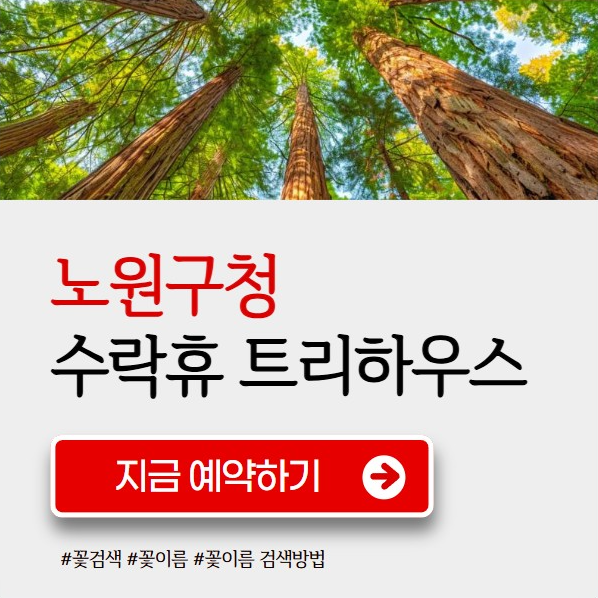 수락휴 트리하우스 예약