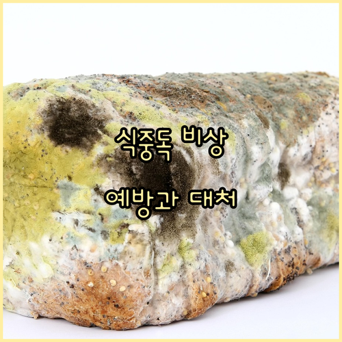 고온다습 여름, 식중독 비상! 예방과..