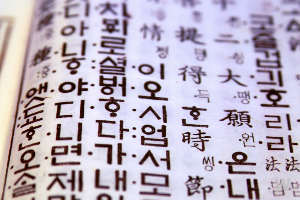 한글날 휴무지정 5