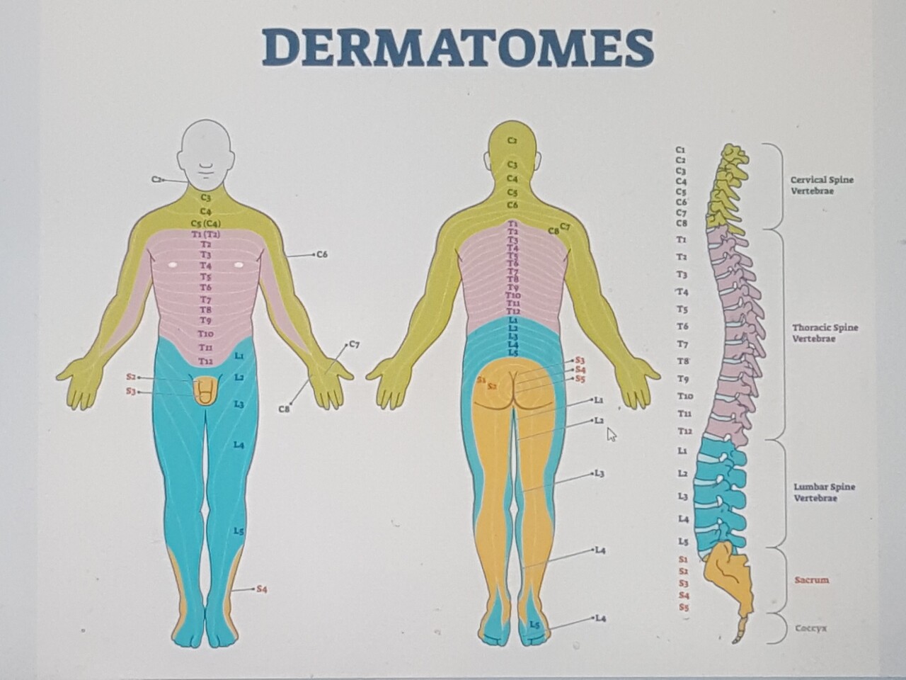 세라젬 마스터 V6