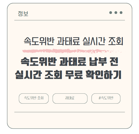 속도위반 과태료 납부 전, 실시간 조회 무료 확인하기