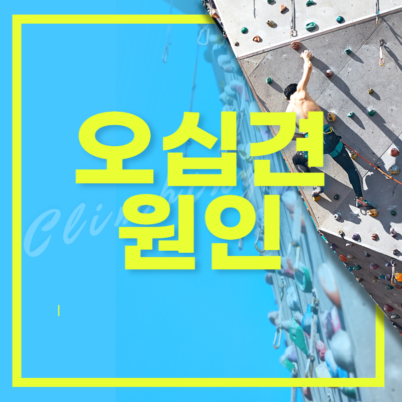 오십견 원인