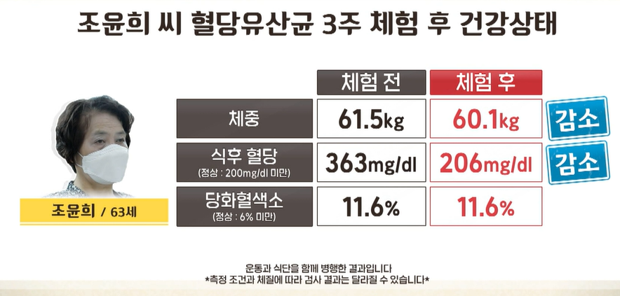 혈당유산균 효능