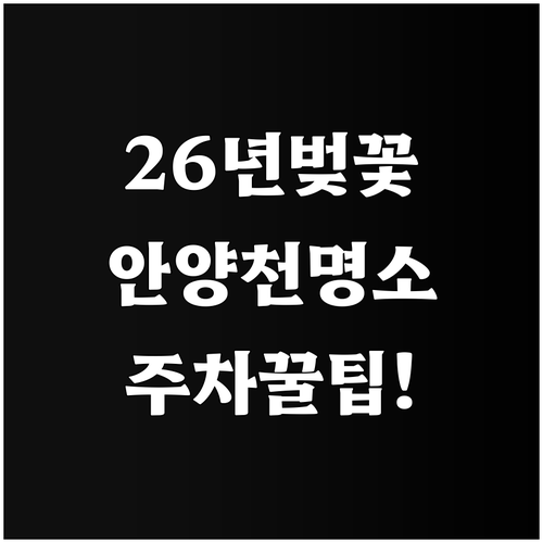 2026년 서울 양천구 벚꽃 만개 시..