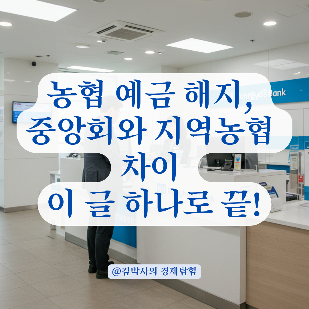 농협 예금 해지하려면 어디로 가야 할까? 중앙회 vs 지역농협 비교 정리.