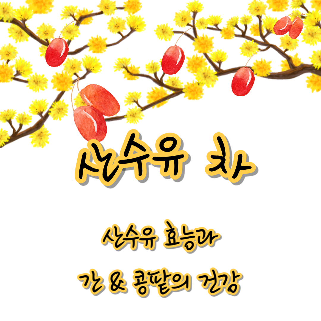 산수유 차 간과 콩팥의 건강을 위한 소중한 산수유 열매(효능&#44; 마시는법&#44; 하루 권장량)